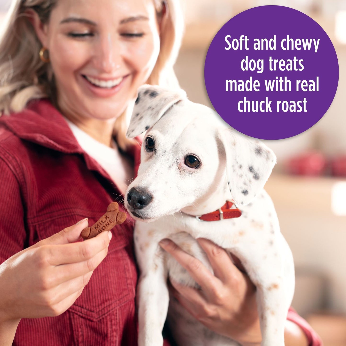 MilkBone Soft and Chewy Dog Treats, Beef & Filet Mignon Recipe With C